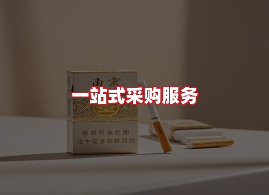 专业团队
